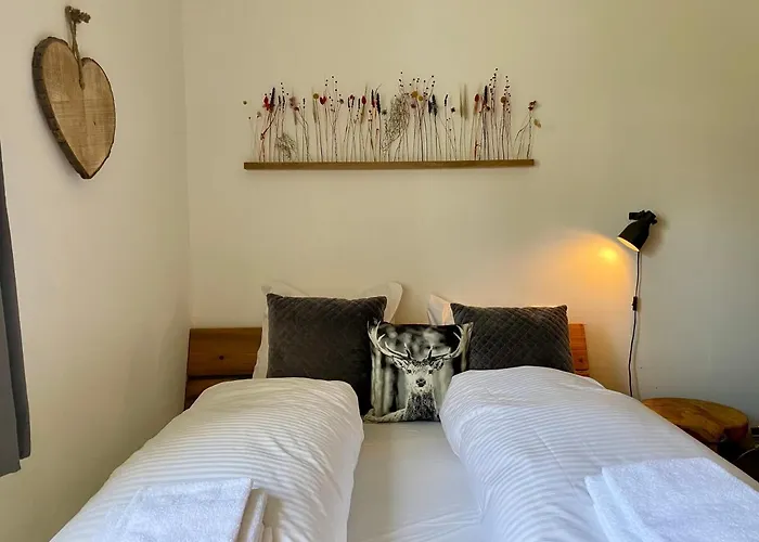 Apartamento Gipfelglueck Zwischen Bikepark & Skipiste Winterberg