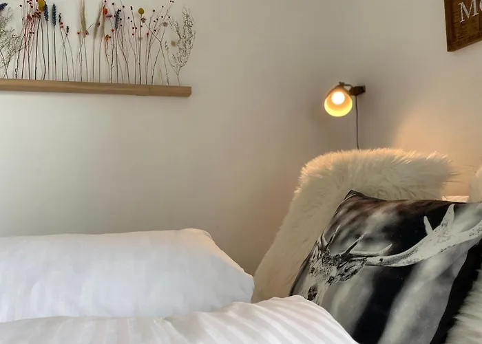 Gipfelglueck Zwischen Bikepark & Skipiste * 빈터베르크